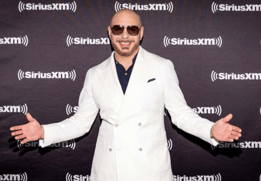 Pitbull Net Worth 2024