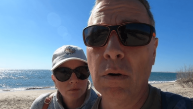 Livinrvision Net Worth