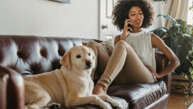user category call timing